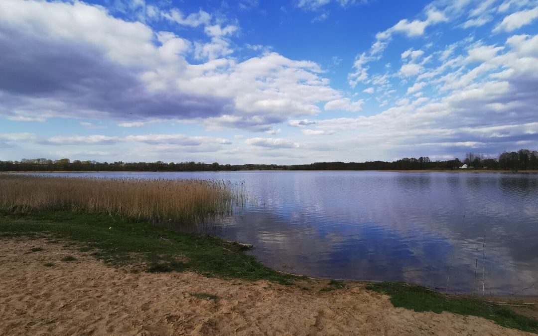 Вода в Литовском озере сейчас — самая тёплая среди всех водоемов ЕС!   Теплее, чем в Испании!
