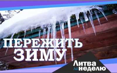 Идеальный шторм: угроза гиперинфляции и непобедимый коронавирус — Литва за неделю