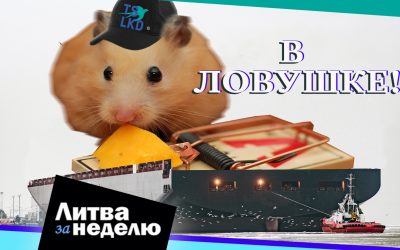 Эти дни войдут в учебники истории Литвы: Литва за неделю
