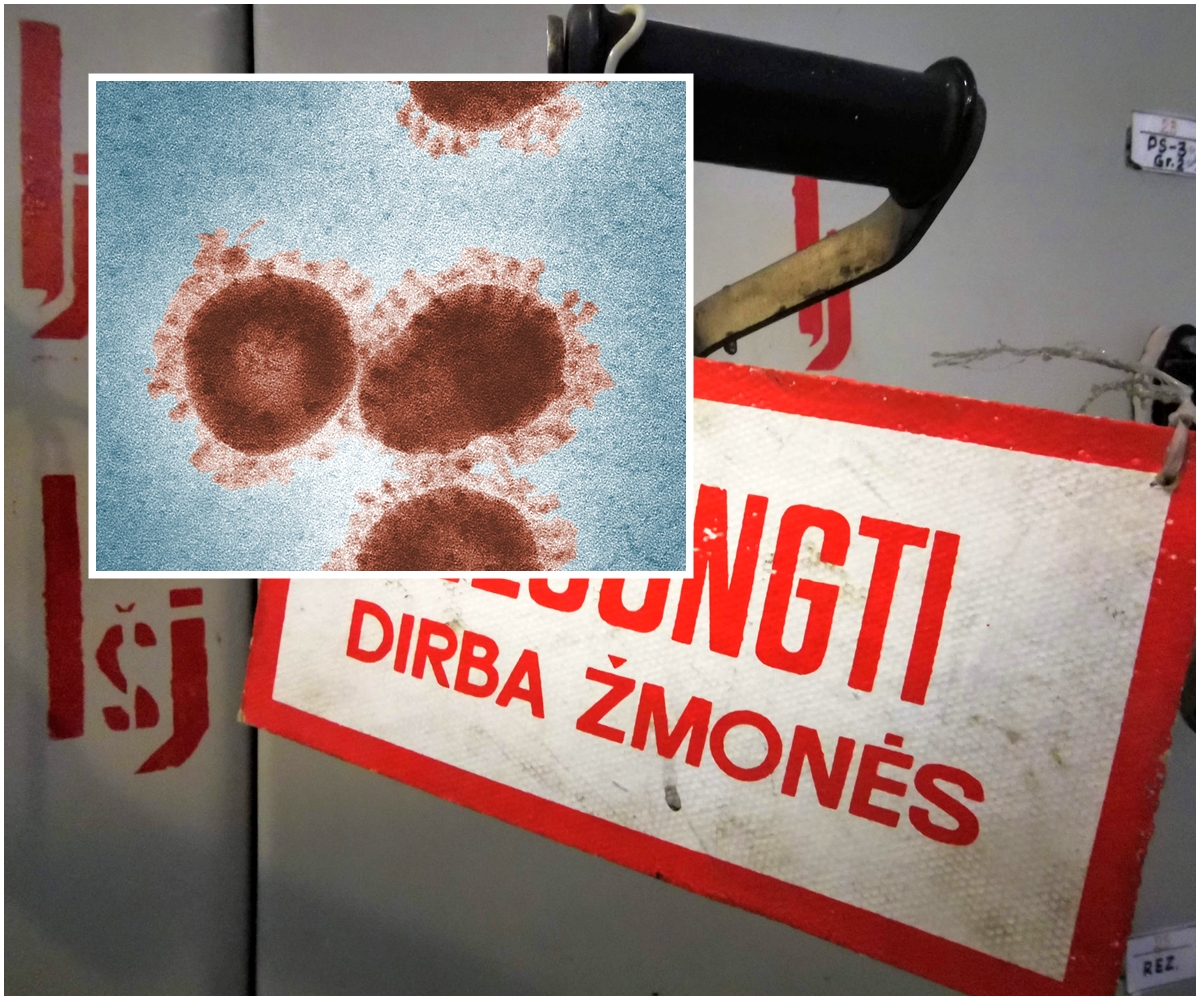 dirba_korona