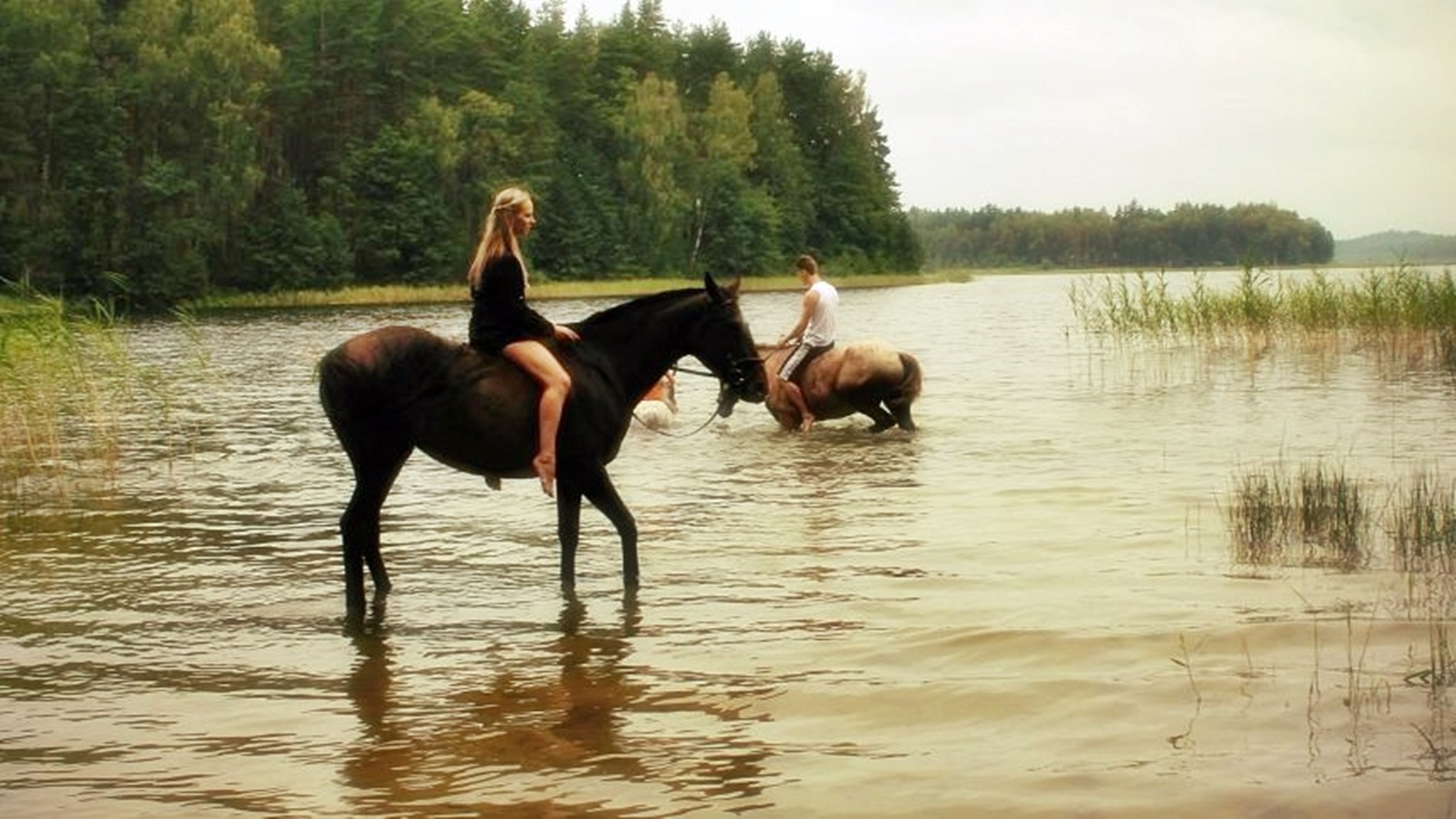 2_Baltas_Mustangas_VisitZarasai