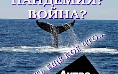 Построить крепость и привыкнуть к осаде: Литва за неделю