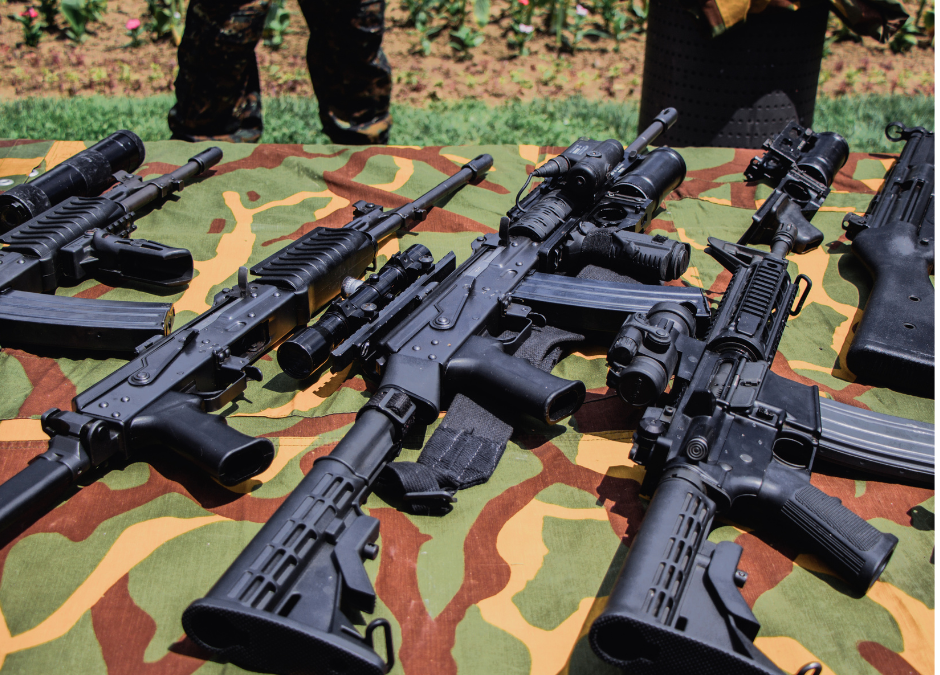 МВД Литвы предлагает разрешить продажу оружия, но не всем