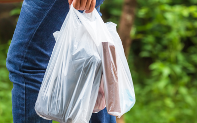 “Пластиковый пакет”. Защитники окружающей среды будут проверять пакеты в торговых точках