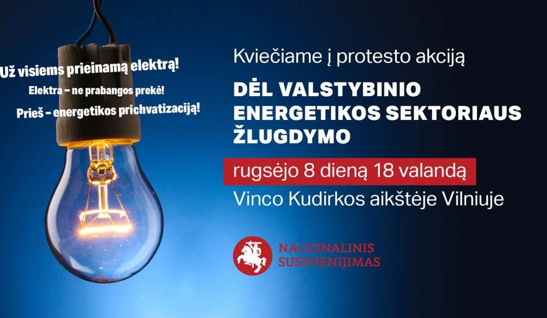 Митинг в столице: нельзя списать подорожание электричества только на Путина