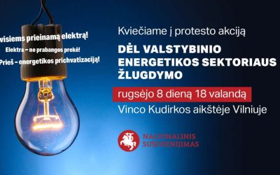 Митинг в столице: нельзя списать подорожание электричества только на Путина