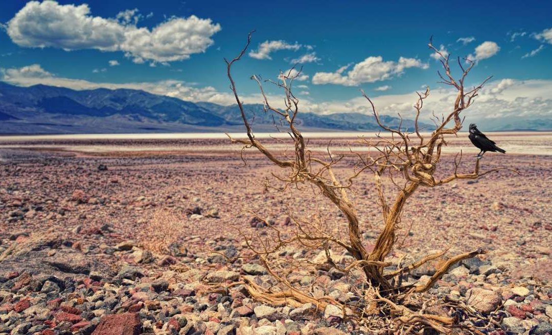 Засуха ударит еще сильнее – по самым неблагоприятным регионам