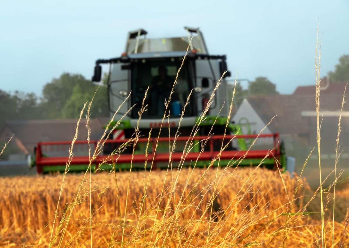 940 х 788 (25)
