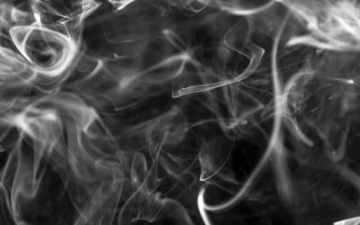 Сейм запретил ароматизированные курительные табачные изделия