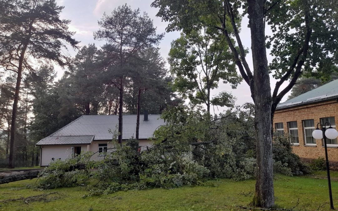 Утро после мощного урагана, обрушившегося на Литву: службы едва успевают справляться, 11 000 человек по-прежнему остаются без электричества