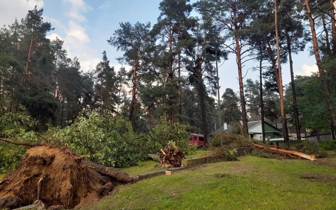 Литва охвачена ураганом: град размером с мяч пробивает крыши, ветер валит деревья