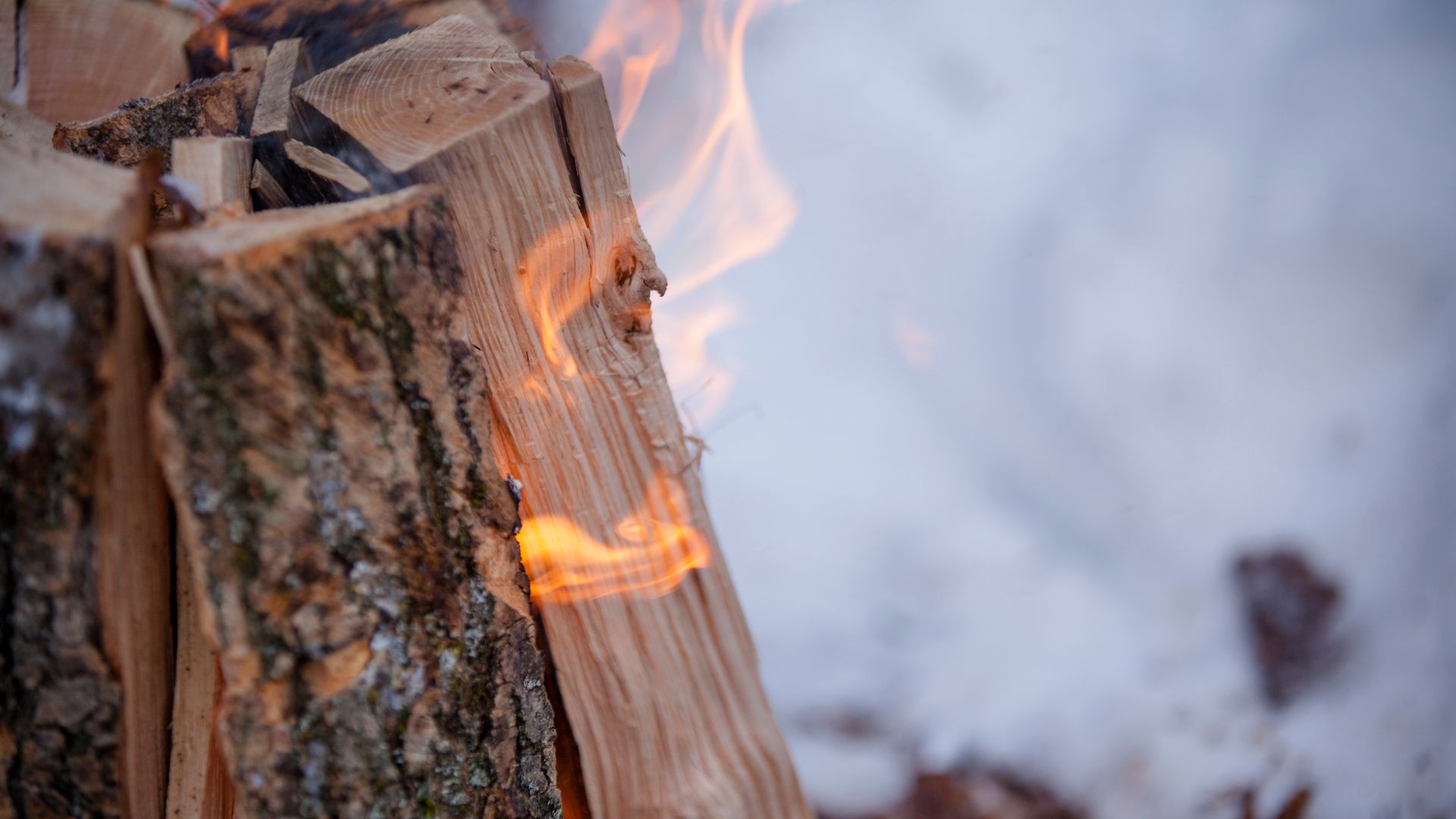 4_femeri fire
