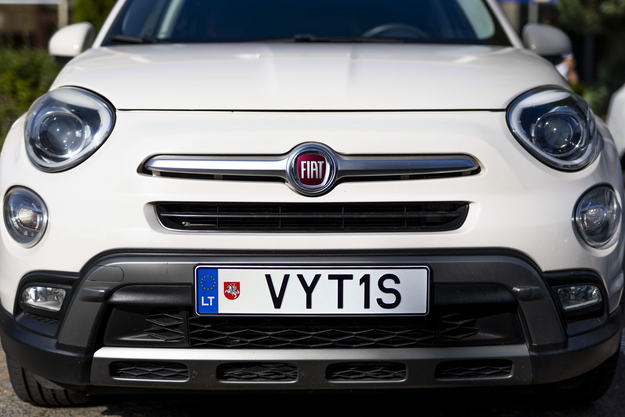 Vytis0069