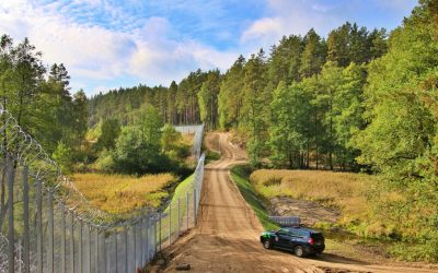 Новая волна нелегальных мигрантов попыталась прорваться из Беларуси в Польшу, оценена ситуация в Литве