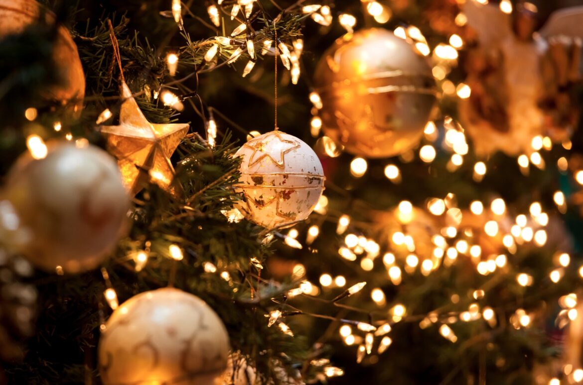20241120_christmas-tree_kaledos-1170×774